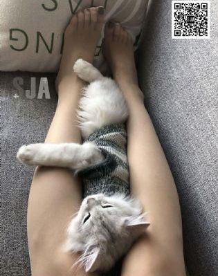 色戒电影未删减高清线观看_BD英语完整视频观看