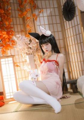 免费播放欧美感人片_720完整在线观看